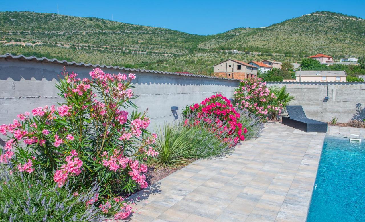 Villa Carpe Diem - With Private Pool Мостар Екстер'єр фото